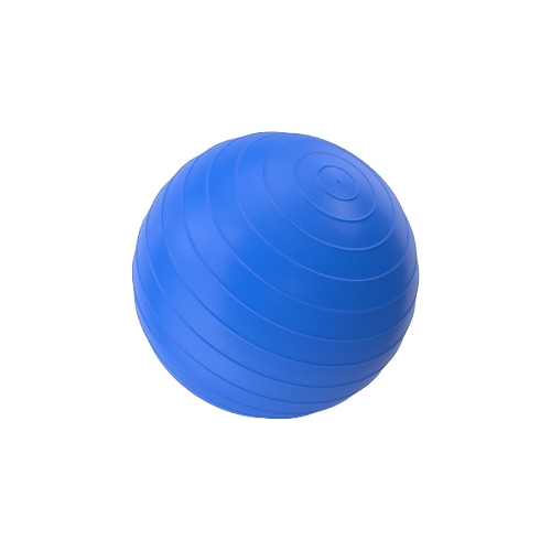 Yoga Ball, Exercise ball with Air Pump, Anti Burst 75CM Gym Ball. - M-Armor